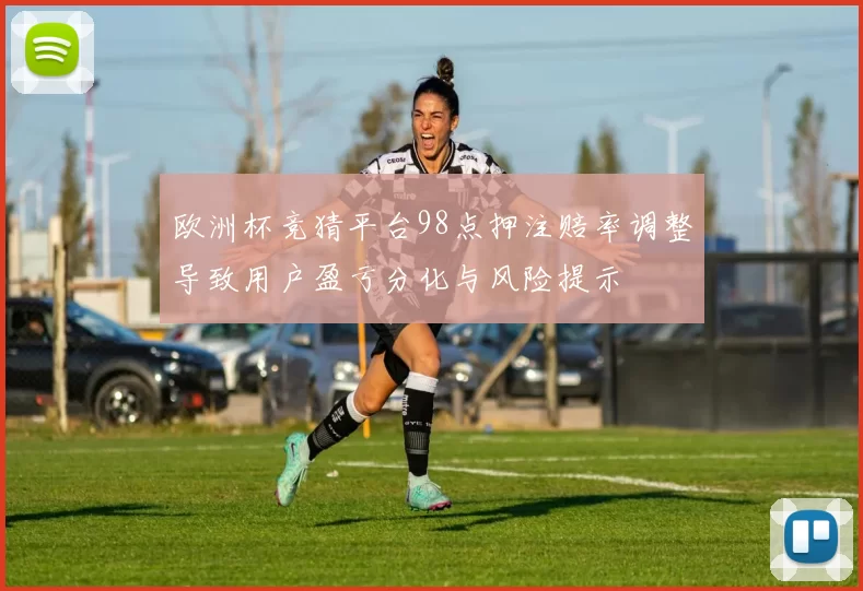 欧洲杯竞猜平台98点押注赔率调整导致用户盈亏分化与风险提示
